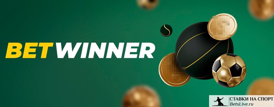 Explorez les aventures du Betwinner casino